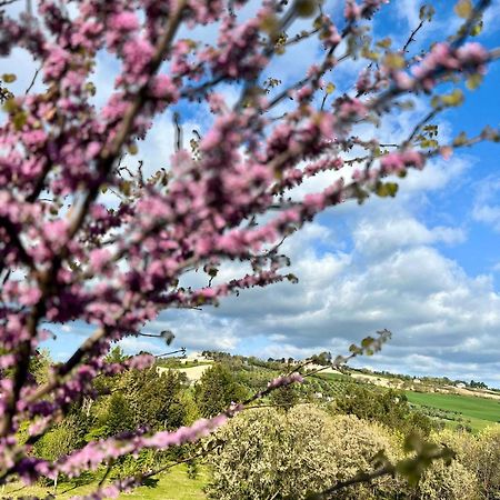 Agriturismo La Contea Senigallia Villa San Gaudenzio Eksteriør billede