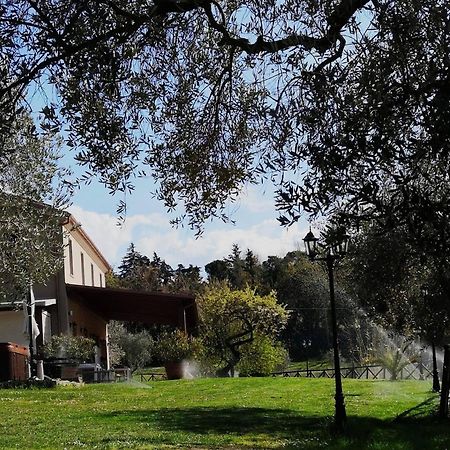 Agriturismo La Contea Senigallia Villa San Gaudenzio Eksteriør billede
