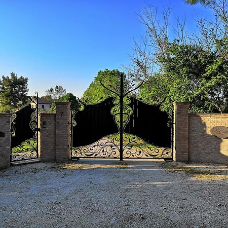 Agriturismo La Contea Senigallia Villa San Gaudenzio Eksteriør billede
