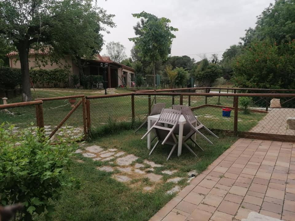 Agriturismo La Contea Senigallia Villa San Gaudenzio Eksteriør billede