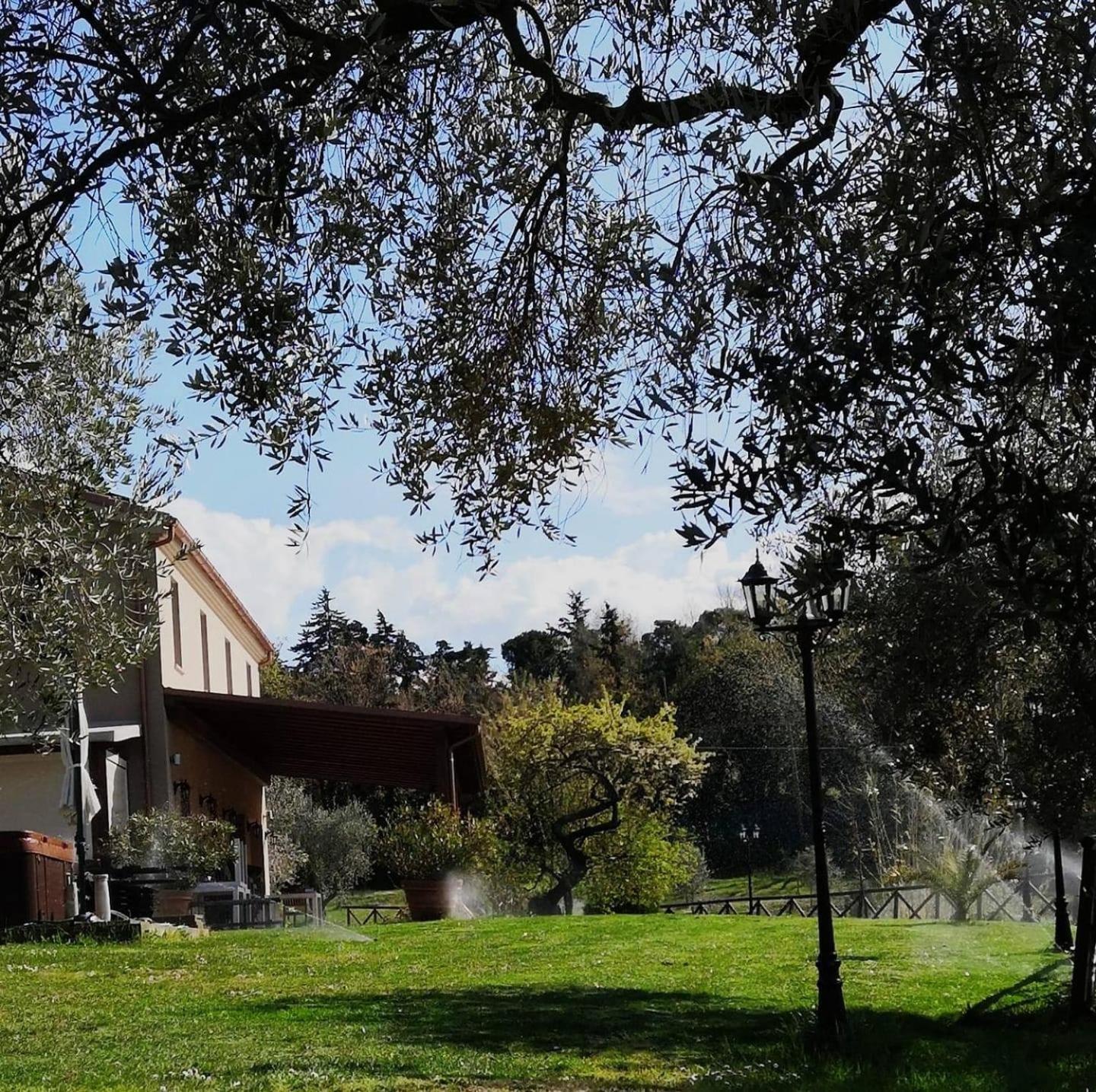 Agriturismo La Contea Senigallia Villa San Gaudenzio Eksteriør billede